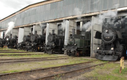 Besuch des Eisenbahnmuseums Strasshof